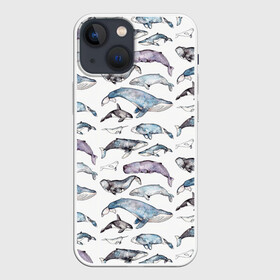 Чехол для iPhone 13 mini с принтом киты паттерн в Екатеринбурге,  |  | ocean | sea | sea animal | акварель | графика | касатка | киты | море | океан | рисунок кита