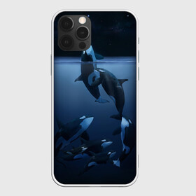 Чехол для iPhone 12 Pro Max с принтом касатки в Екатеринбурге, Силикон |  | ocean | orca | sea | sea animal | дельфин | касатка | кит | море | океан | рисунок кита