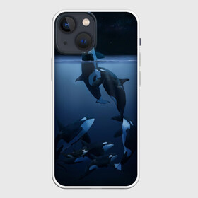 Чехол для iPhone 13 mini с принтом касатки в Екатеринбурге,  |  | ocean | orca | sea | sea animal | дельфин | касатка | кит | море | океан | рисунок кита