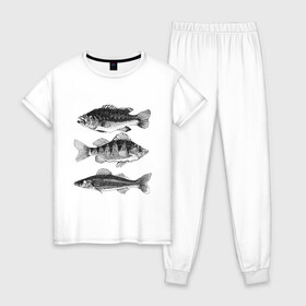 Женская пижама хлопок с принтом караси в Екатеринбурге, 100% хлопок | брюки и футболка прямого кроя, без карманов, на брюках мягкая резинка на поясе и по низу штанин | ocean | sea | sea animal | графика | карась | море | океан | река | рисунок рыбы | рыба | рыбалка