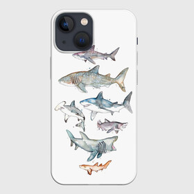 Чехол для iPhone 13 mini с принтом акулы в Екатеринбурге,  |  | ocean | sea | sea animal | акварель | акула | море | океан | рисунок