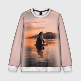 Детский свитшот 3D с принтом касатки на закате в Екатеринбурге, 100% полиэстер | свободная посадка, прямой крой, мягкая тканевая резинка на рукавах и понизу свитшота | ocean | orca | sea | sea animal | дельфин | закат | касатка | кит | море | океан | рисунок кита