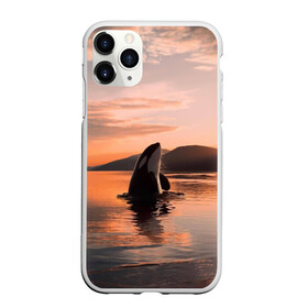 Чехол для iPhone 11 Pro матовый с принтом касатки на закате в Екатеринбурге, Силикон |  | ocean | orca | sea | sea animal | дельфин | закат | касатка | кит | море | океан | рисунок кита