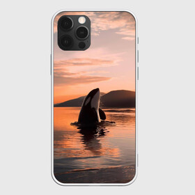 Чехол для iPhone 12 Pro с принтом касатки на закате в Екатеринбурге, силикон | область печати: задняя сторона чехла, без боковых панелей | ocean | orca | sea | sea animal | дельфин | закат | касатка | кит | море | океан | рисунок кита
