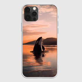 Чехол для iPhone 12 Pro Max с принтом касатки на закате в Екатеринбурге, Силикон |  | ocean | orca | sea | sea animal | дельфин | закат | касатка | кит | море | океан | рисунок кита