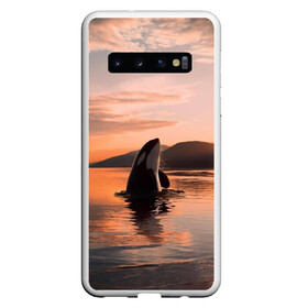 Чехол для Samsung Galaxy S10 с принтом касатки на закате в Екатеринбурге, Силикон | Область печати: задняя сторона чехла, без боковых панелей | ocean | orca | sea | sea animal | дельфин | закат | касатка | кит | море | океан | рисунок кита