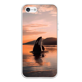 Чехол для iPhone 5/5S матовый с принтом касатки на закате в Екатеринбурге, Силикон | Область печати: задняя сторона чехла, без боковых панелей | Тематика изображения на принте: ocean | orca | sea | sea animal | дельфин | закат | касатка | кит | море | океан | рисунок кита