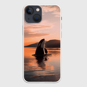 Чехол для iPhone 13 mini с принтом касатки на закате в Екатеринбурге,  |  | ocean | orca | sea | sea animal | дельфин | закат | касатка | кит | море | океан | рисунок кита