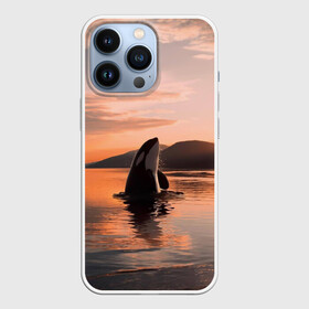 Чехол для iPhone 13 Pro с принтом касатки на закате в Екатеринбурге,  |  | ocean | orca | sea | sea animal | дельфин | закат | касатка | кит | море | океан | рисунок кита