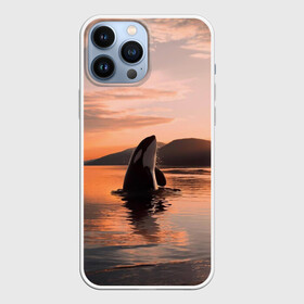 Чехол для iPhone 13 Pro Max с принтом касатки на закате в Екатеринбурге,  |  | ocean | orca | sea | sea animal | дельфин | закат | касатка | кит | море | океан | рисунок кита