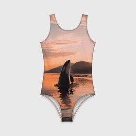 Детский купальник 3D с принтом касатки на закате в Екатеринбурге, Полиэстер 85%, Спандекс 15% | Слитный крой, подклад по переду изделия, узкие бретели | ocean | orca | sea | sea animal | дельфин | закат | касатка | кит | море | океан | рисунок кита