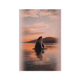 Обложка для паспорта матовая кожа с принтом касатки на закате в Екатеринбурге, натуральная матовая кожа | размер 19,3 х 13,7 см; прозрачные пластиковые крепления | ocean | orca | sea | sea animal | дельфин | закат | касатка | кит | море | океан | рисунок кита