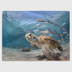 Плед 3D с принтом Морская черепаха в Екатеринбурге, 100% полиэстер | закругленные углы, все края обработаны. Ткань не мнется и не растягивается | море | морская | океан | подводный мир | рыбы | черепаха