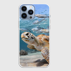 Чехол для iPhone 13 Pro Max с принтом Морская черепаха в Екатеринбурге,  |  | море | морская | океан | подводный мир | рыбы | черепаха