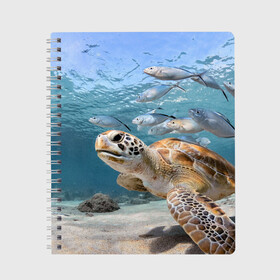 Тетрадь с принтом Морская черепаха в Екатеринбурге, 100% бумага | 48 листов, плотность листов — 60 г/м2, плотность картонной обложки — 250 г/м2. Листы скреплены сбоку удобной пружинной спиралью. Уголки страниц и обложки скругленные. Цвет линий — светло-серый
 | море | морская | океан | подводный мир | рыбы | черепаха