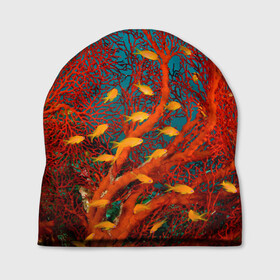 Шапка 3D с принтом Коралловые рыбки в Екатеринбурге, 100% полиэстер | универсальный размер, печать по всей поверхности изделия | коралловые | море | океан | подводный мир | рифы | рыбки | рыбы