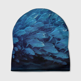 Шапка 3D с принтом Морские рыбы в Екатеринбурге, 100% полиэстер | универсальный размер, печать по всей поверхности изделия | косяк | море | океан | подводный мир | рыбки | рыбы