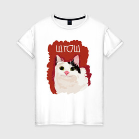 Женская футболка хлопок с принтом котик ШТОШ в Екатеринбурге, 100% хлопок | прямой крой, круглый вырез горловины, длина до линии бедер, слегка спущенное плечо | Тематика изображения на принте: кот | меме | прикол | штош | юмор