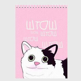 Скетчбук (блокнот) с принтом котик штош в Екатеринбурге, 100% бумага
 | 48 листов, плотность листов — 100 г/м2, плотность картонной обложки — 250 г/м2. Листы скреплены сверху удобной пружинной спиралью | кот | меме | прикол | штош | юмор