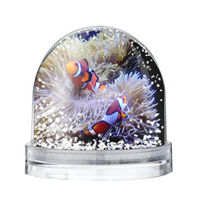 Игрушка Снежный шар с принтом Клоуны в актинии в Екатеринбурге, Пластик | Изображение внутри шара печатается на глянцевой фотобумаге с двух сторон | актиния | клоуны | коралловые | море | подводный мир | рыбки