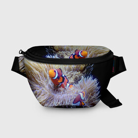 Поясная сумка 3D с принтом Клоуны в актинии в Екатеринбурге, 100% полиэстер | плотная ткань, ремень с регулируемой длиной, внутри несколько карманов для мелочей, основное отделение и карман с обратной стороны сумки застегиваются на молнию | актиния | клоуны | коралловые | море | подводный мир | рыбки
