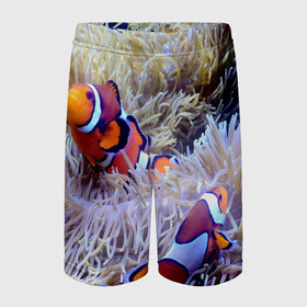Детские спортивные шорты 3D с принтом Клоуны в актинии в Екатеринбурге,  100% полиэстер
 | пояс оформлен широкой мягкой резинкой, ткань тянется
 | актиния | клоуны | коралловые | море | подводный мир | рыбки