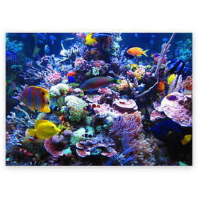 Поздравительная открытка с принтом Коралловые рыбки в Екатеринбурге, 100% бумага | плотность бумаги 280 г/м2, матовая, на обратной стороне линовка и место для марки
 | коралловые | кораллы | море | морские обитатели | океан | подводный мир | рыбки