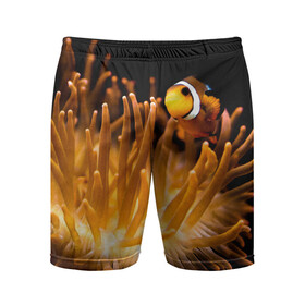 Мужские шорты спортивные с принтом Клоуны в актинии в Екатеринбурге,  |  | актиния | клоуны | коралловые | море | подводный мир | рыбки