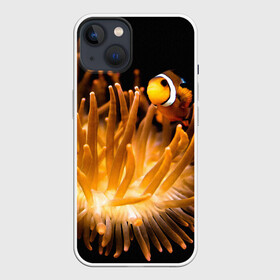Чехол для iPhone 13 с принтом Клоуны в актинии в Екатеринбурге,  |  | актиния | клоуны | коралловые | море | подводный мир | рыбки