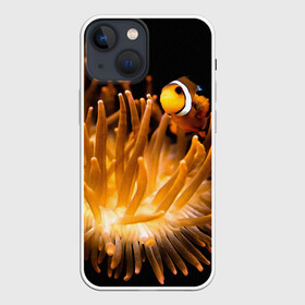 Чехол для iPhone 13 mini с принтом Клоуны в актинии в Екатеринбурге,  |  | актиния | клоуны | коралловые | море | подводный мир | рыбки