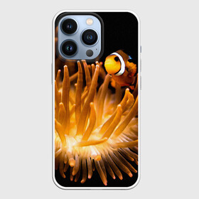 Чехол для iPhone 13 Pro с принтом Клоуны в актинии в Екатеринбурге,  |  | актиния | клоуны | коралловые | море | подводный мир | рыбки