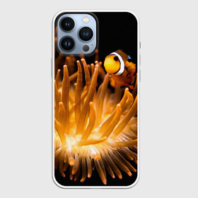 Чехол для iPhone 13 Pro Max с принтом Клоуны в актинии в Екатеринбурге,  |  | актиния | клоуны | коралловые | море | подводный мир | рыбки