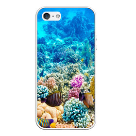 Чехол для iPhone 5/5S матовый с принтом Риф в Екатеринбурге, Силикон | Область печати: задняя сторона чехла, без боковых панелей | коралловый риф | полосатые рыбы | риф | рыбы | сказочный риф