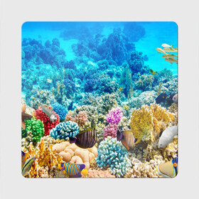 Магнит виниловый Квадрат с принтом Риф в Екатеринбурге, полимерный материал с магнитным слоем | размер 9*9 см, закругленные углы | коралловый риф | полосатые рыбы | риф | рыбы | сказочный риф
