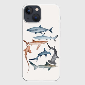 Чехол для iPhone 13 mini с принтом акулы в Екатеринбурге,  |  | ocean | sea | sea animal | акулы | графика | море | океан | рисунок