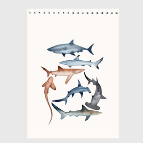 Скетчбук с принтом акулы в Екатеринбурге, 100% бумага
 | 48 листов, плотность листов — 100 г/м2, плотность картонной обложки — 250 г/м2. Листы скреплены сверху удобной пружинной спиралью | ocean | sea | sea animal | акулы | графика | море | океан | рисунок