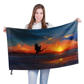 Флаг 3D с принтом Прибрежный закат в Екатеринбурге, 100% полиэстер | плотность ткани — 95 г/м2, размер — 67 х 109 см. Принт наносится с одной стороны | журавль | закат | закат на пляже | море | пляж | прибрежный закат
