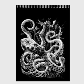 Скетчбук с принтом Кракен Монстр в Екатеринбурге, 100% бумага
 | 48 листов, плотность листов — 100 г/м2, плотность картонной обложки — 250 г/м2. Листы скреплены сверху удобной пружинной спиралью | Тематика изображения на принте: animal | beast | kraken | monster | ocean | octopus | sea | ship | water | вода | животные | звери | корабль | кракен | монстр | море | океан | осьминог | рыбы | щупальца
