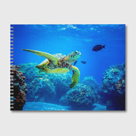 Альбом для рисования с принтом Морская черепаха в Екатеринбурге, 100% бумага
 | матовая бумага, плотность 200 мг. | морская черепаха | океан | подводный мир | черепаха