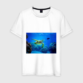 Мужская футболка хлопок с принтом Морская черепаха в Екатеринбурге, 100% хлопок | прямой крой, круглый вырез горловины, длина до линии бедер, слегка спущенное плечо. | Тематика изображения на принте: морская черепаха | океан | подводный мир | черепаха