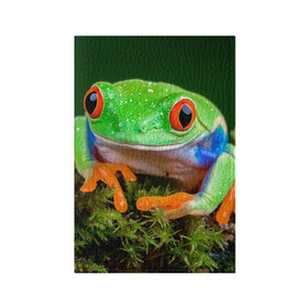 Обложка для паспорта матовая кожа с принтом Тропическая лягушка в Екатеринбурге, натуральная матовая кожа | размер 19,3 х 13,7 см; прозрачные пластиковые крепления | Тематика изображения на принте: зеленая лягушка | лягушка | тропики