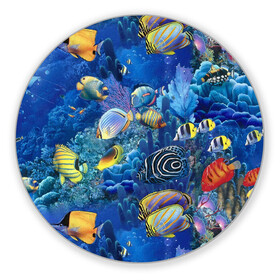 Коврик для мышки круглый с принтом Коралловые рыбки в Екатеринбурге, резина и полиэстер | круглая форма, изображение наносится на всю лицевую часть | дно морское | коралловые | кораллы | море | подводный мир | рыбки