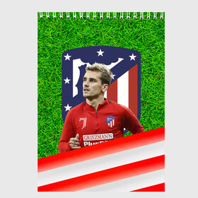 Скетчбук с принтом Антуан Гризманн | Antoine Griezmann (+спина) (Z) в Екатеринбурге, 100% бумага
 | 48 листов, плотность листов — 100 г/м2, плотность картонной обложки — 250 г/м2. Листы скреплены сверху удобной пружинной спиралью | Тематика изображения на принте: antoine griezmann | антуан гризманн | атлетико | барса | барселона | гризман | реал сосьедад | сборная франции