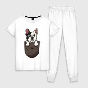Женская пижама хлопок с принтом Карманный пёс в Екатеринбурге, 100% хлопок | брюки и футболка прямого кроя, без карманов, на брюках мягкая резинка на поясе и по низу штанин | бульдог | дог | карман | пес | собака
