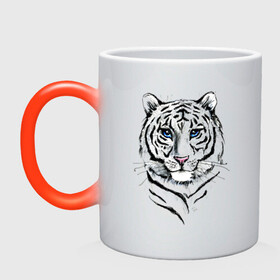 Кружка хамелеон с принтом Белый тигр в Екатеринбурге, керамика | меняет цвет при нагревании, емкость 330 мл | Тематика изображения на принте: альфа | белый | дикие | дикий | животные | звери | зверь | кот | котик | крутой | полоски | принт | природа | самец | тигр | тигриныйкрасивый