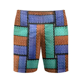 Мужские шорты спортивные с принтом Stripes в Екатеринбурге,  |  | belt | colorful | lines | stripes | полосы