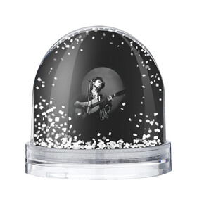 Игрушка Снежный шар с принтом Цой на концерте в Екатеринбурге, Пластик | Изображение внутри шара печатается на глянцевой фотобумаге с двух сторон | kino | rock | кино | музыкант | рок | русский рок | сой | тцой | цой