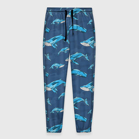 Мужские брюки 3D с принтом Киты на синем в Екатеринбурге, 100% полиэстер | манжеты по низу, эластичный пояс регулируется шнурком, по бокам два кармана без застежек, внутренняя часть кармана из мелкой сетки | whale | кит | киты | море | на синем | паттерн