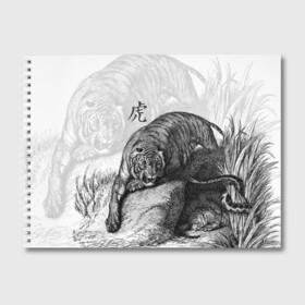 Альбом для рисования с принтом Тигр и змея в Екатеринбурге, 100% бумага
 | матовая бумага, плотность 200 мг. | Тематика изображения на принте: дикий.природа | животные | зверь | змея | иероглиф | кошка | надпись на японском | тигр