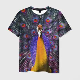 Мужская футболка 3D с принтом Павлин в Екатеринбурге, 100% полиэфир | прямой крой, круглый вырез горловины, длина до линии бедер | peacock | peafowl | plumage | оперение | павлин